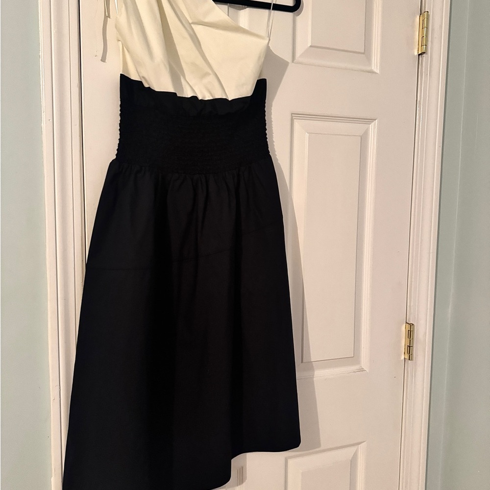 Joie Black and White one shoulder dress- A-Line